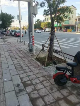 1月3日连城县城市管理局融媒体专辑252.png 图片