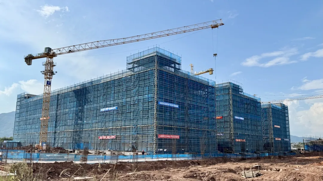 【聚力项目落地攻坚】连城：双节坚守筑根基 项目攻坚启新程