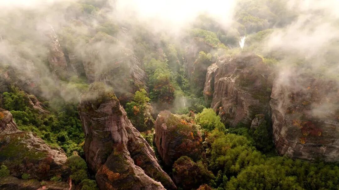 054《桄榔幽谷》张铃13685966980_副本.jpg 054《桄榔幽谷》张铃13685966980_副本.jpg