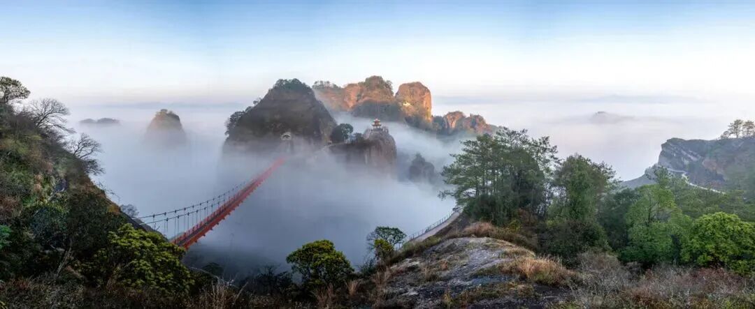 罗祝平.jpg 罗祝平.jpg