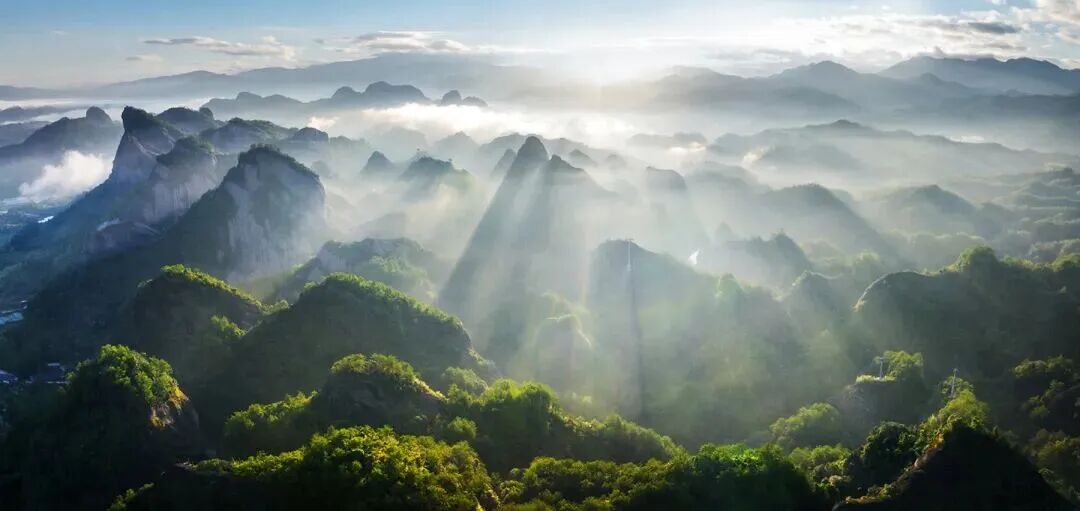 绿 林宗健.jpg 绿 林宗健.jpg