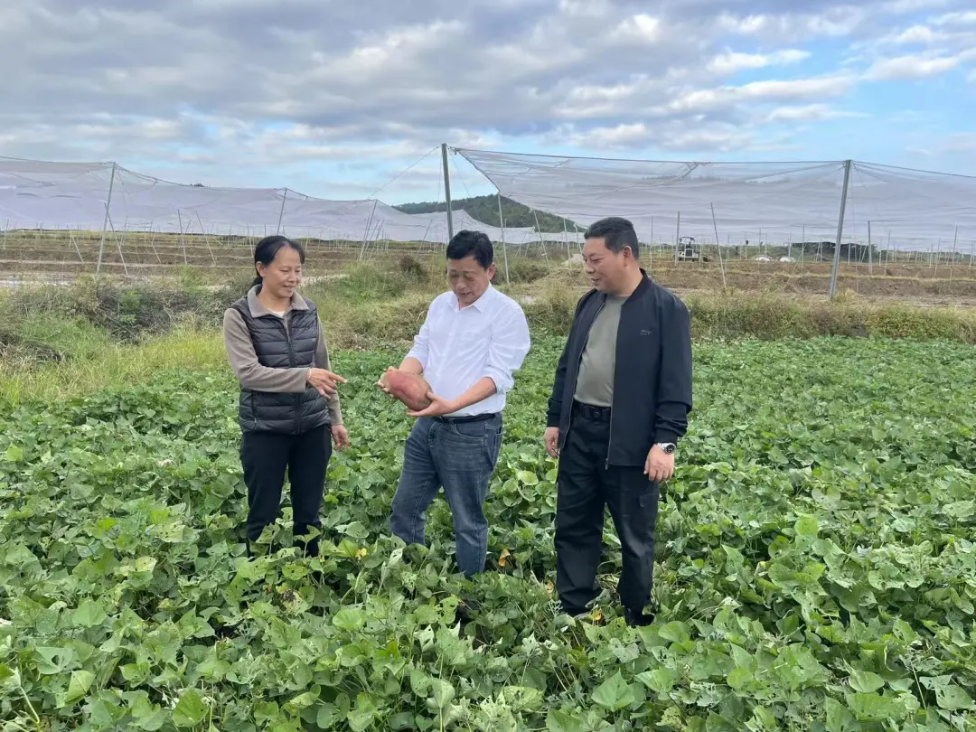 连城：村庄合并破“空心”困局 资源融合筑共富新路