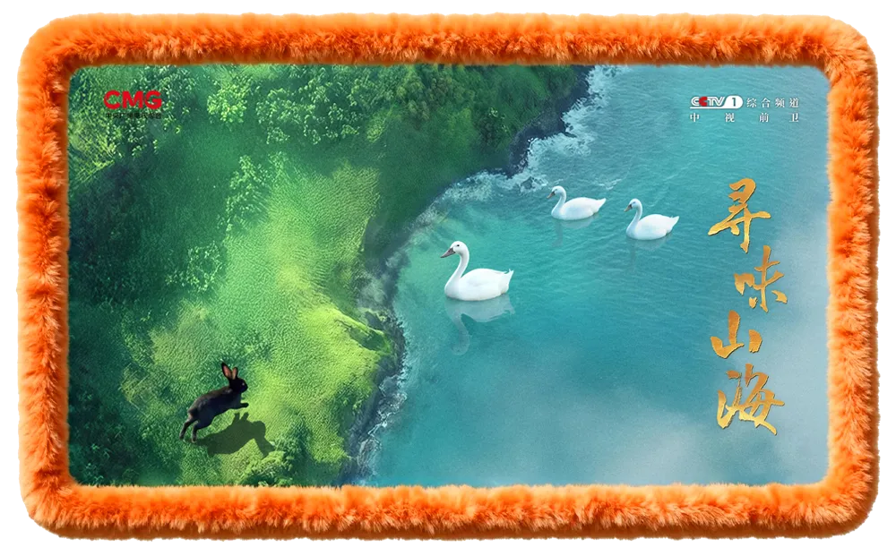 锁定本周日18：20！跟着央视《寻味山海》，解锁连城白鸭的风物故事