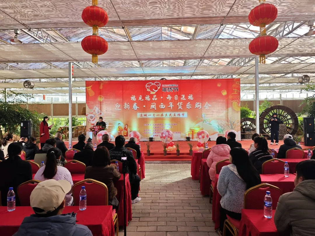 连城“一月一品”兰花直播节开幕