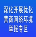 “深化开展优化营商网络环境”举报专区