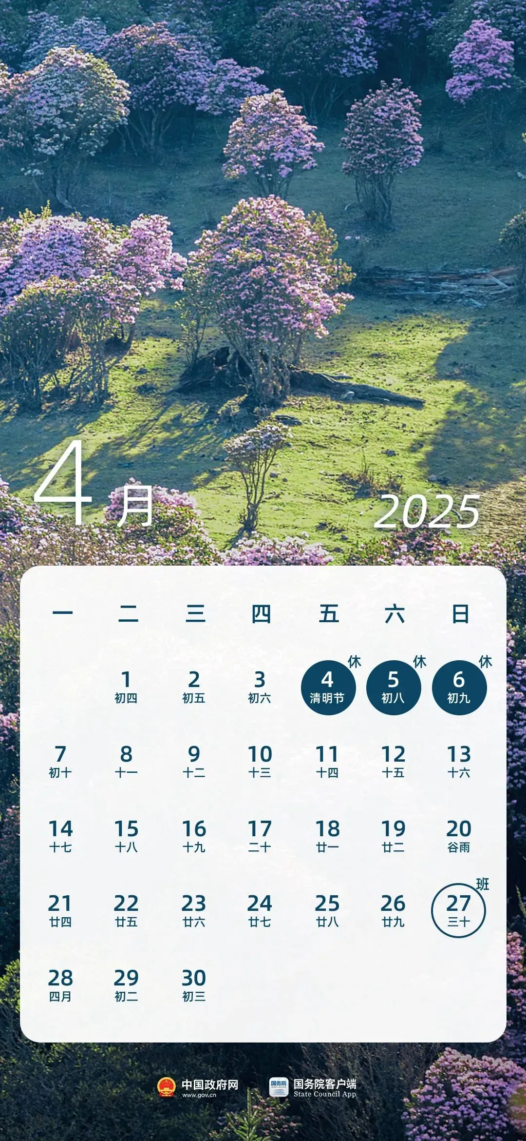 暂无图片