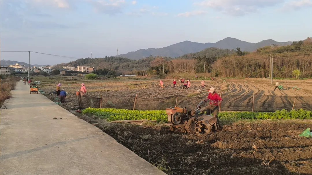 连城：实施生态产品价值提升项目，好水“种”出富民稻