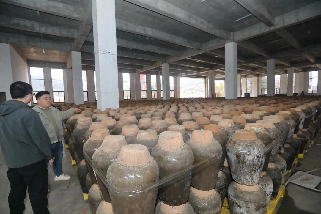 非遗米酒新酿造！连城熹山禾黄酒生产项目冲刺4月投产