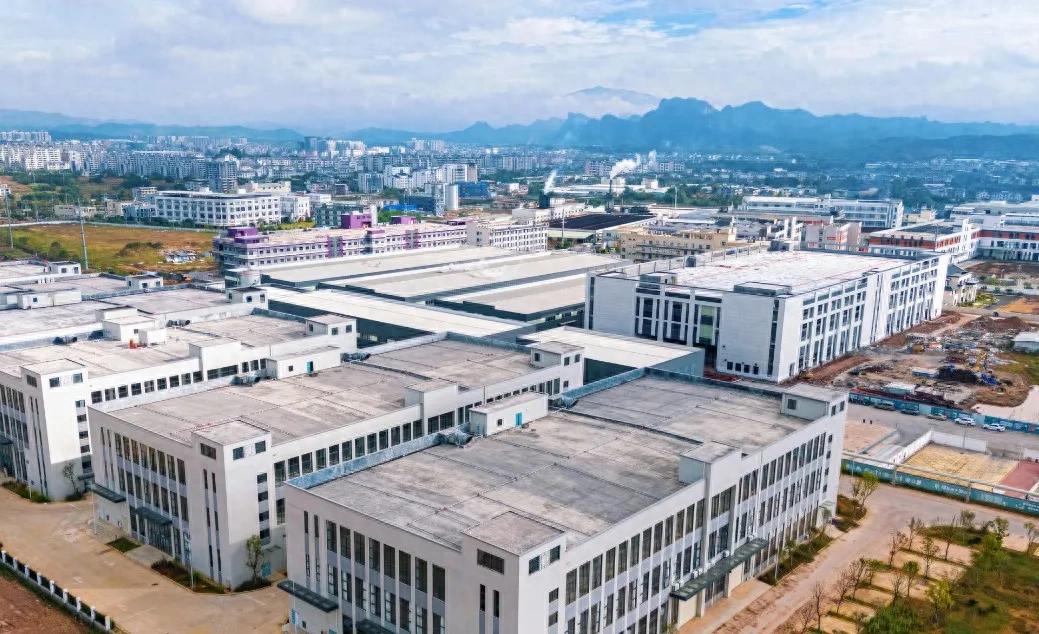 从“土疙瘩”到“国际薯” 连城地瓜出海带旺农产品出口