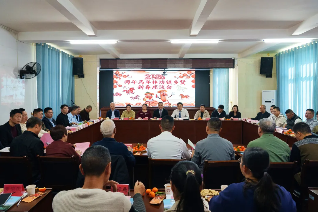 连城林坊：乡贤聚力 共绘发展宏图