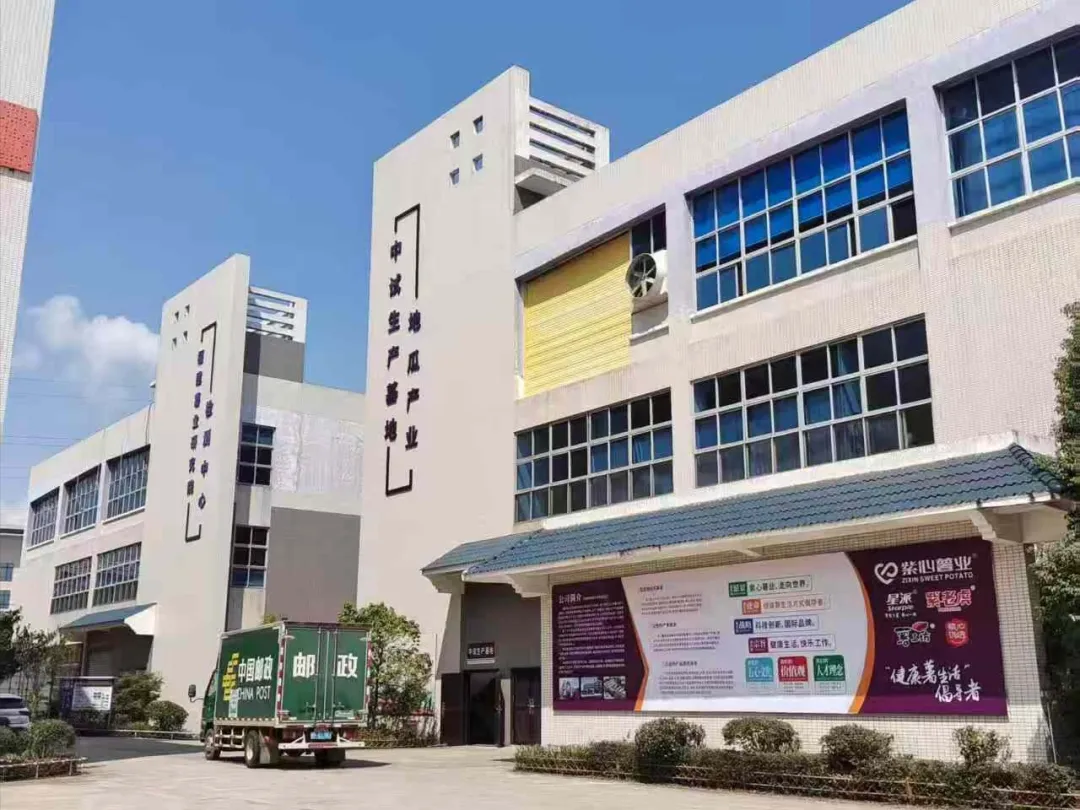 连城司法：以法治实干筑就最优营商环境