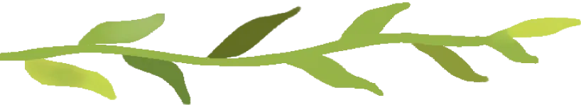 连城县举办第十五届培田客家春耕活动