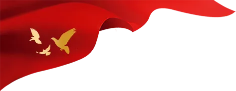 暂无图片