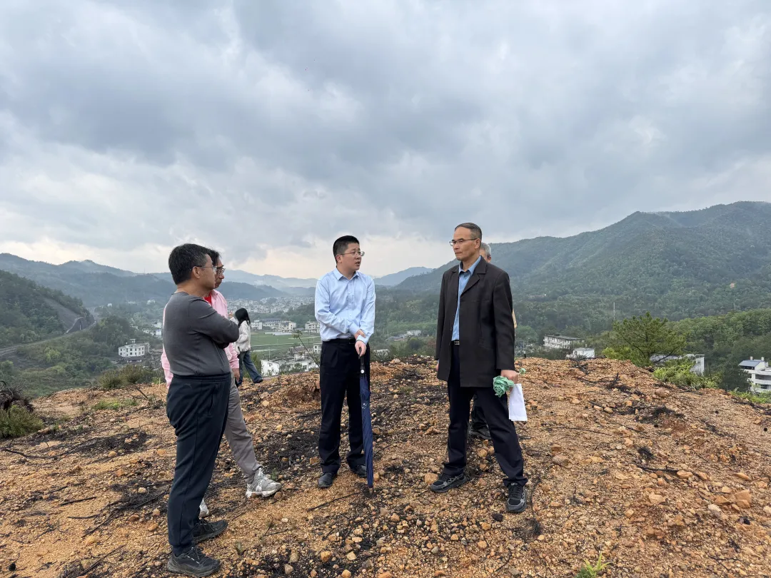 【百干挂百企】新泉镇：精准助企解难题 赋能项目快落地