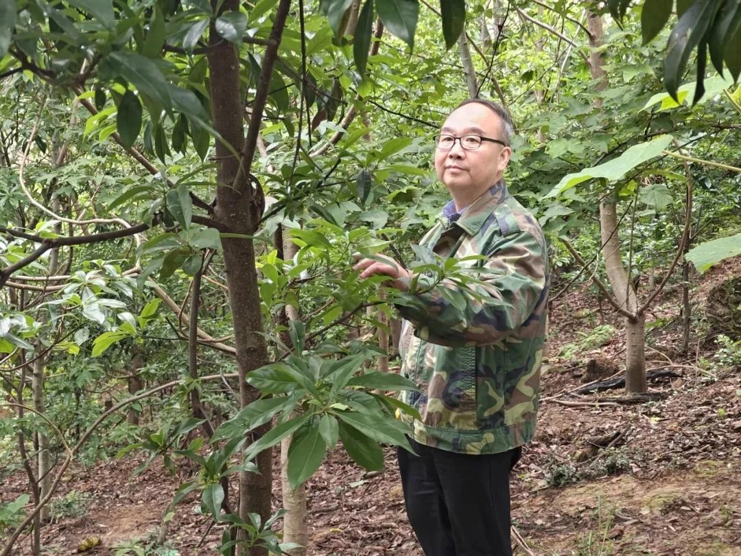 【劳动者之歌】吴晓杰：矢志不渝 耕守绿水青山