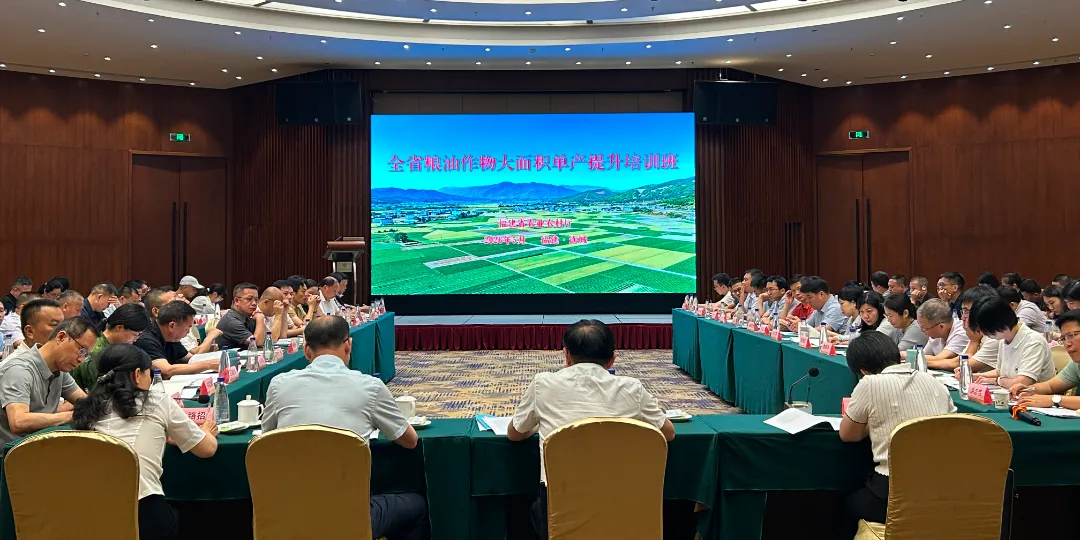 全省粮油作物大面积单产提升培训班在连城县举办 (4).jpg