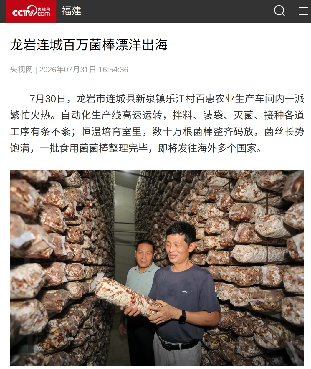 【主流媒体看连城】央视网报道！龙岩连城百万菌棒漂洋出海