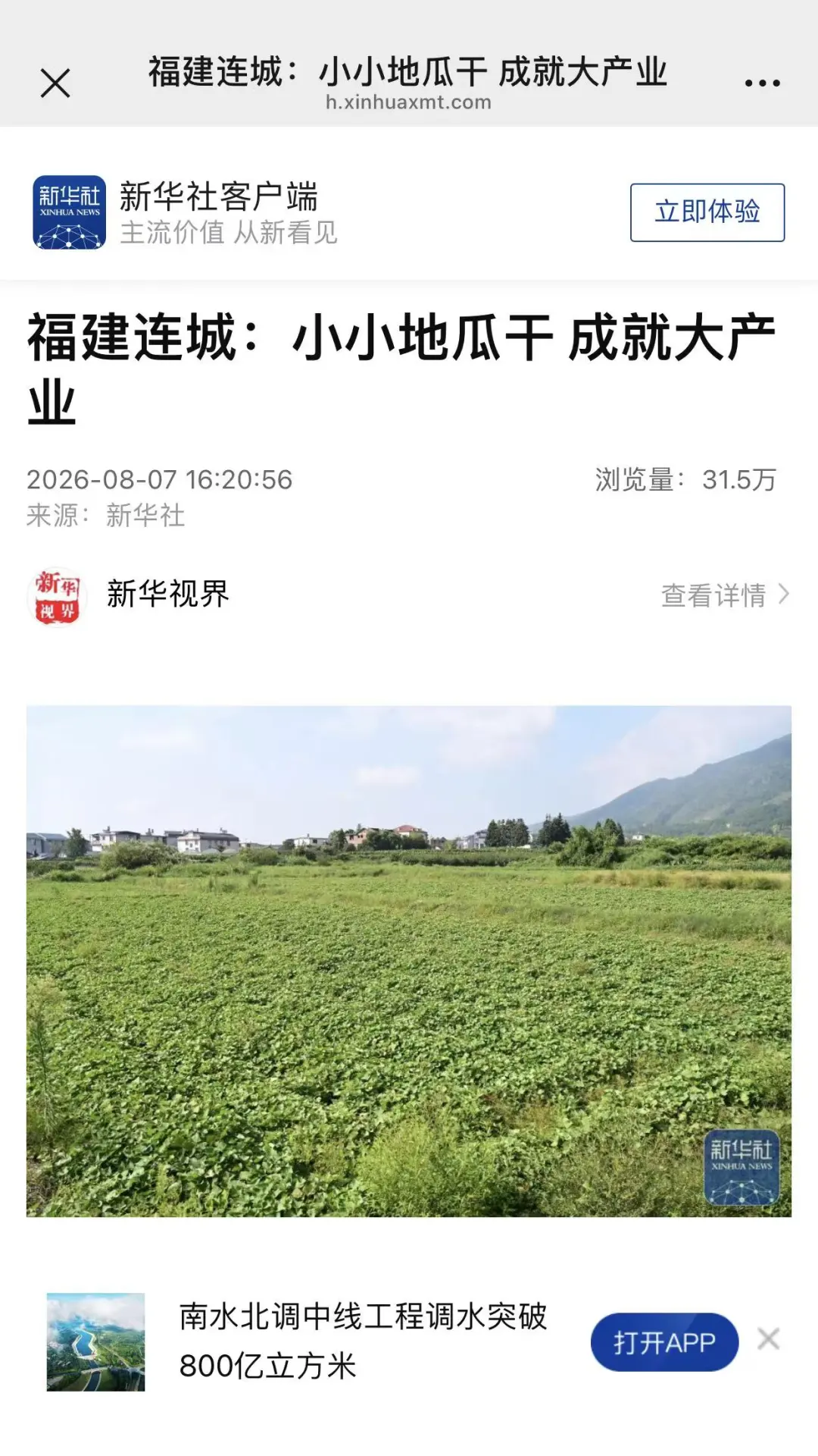 【主流媒体看连城】新华社客户端报道！福建连城：小小地瓜干 成就大产业