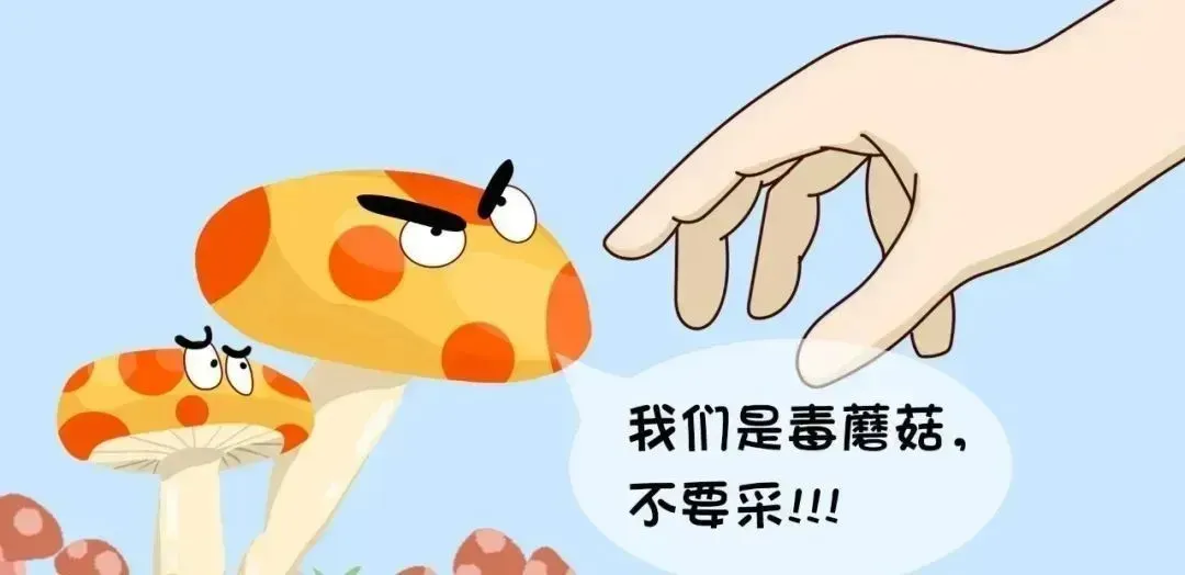 暂无图片