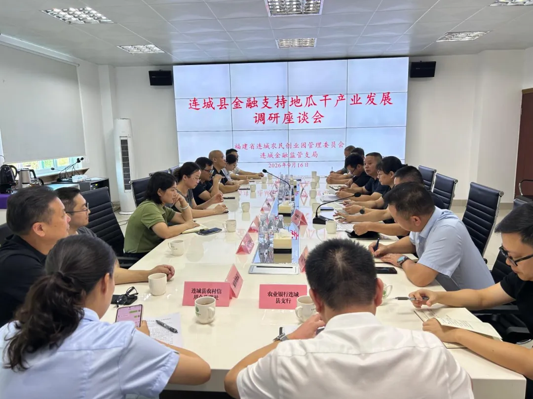 金融活水润薯业｜政银企面对面，金融赋能连城地瓜产业提质增效